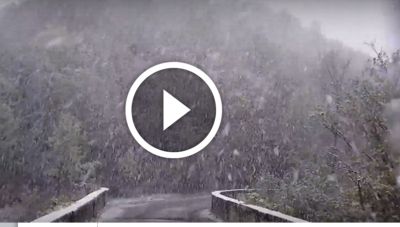 La neve arriva in collina: il video di poco fa mostra l’intensità del fenomeno e un debole accumulo al suolo