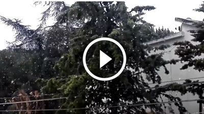 Video live, scende la neve tra Appennino molisano e Gargano: il fenomeno ripreso in diretta poco fa