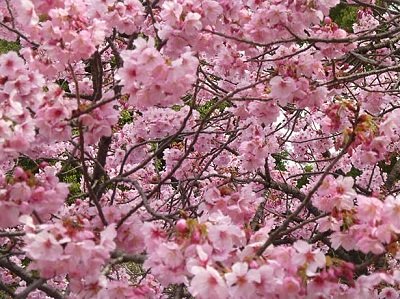 Meteo MAGGIO 2017 ecco la proiezione per l'ultimo mese di primavera in Italia