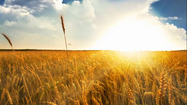 Estate al via con il mese di Giugno 2017, vediamo quale tendenza meteo in Italia - zeroemission.eu Estate al via con il mese di Giugno 2017, vediamo quale tendenza meteo in Italia - zeroemission.eu