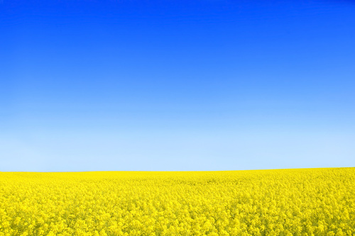 Condizioni meteo in Italia all'insegna di sole e caldo a causa della rimonta dell'anticiclone africano nei prossimi giorni - freepik.com Condizioni meteo in Italia all'insegna di sole e caldo a causa della rimonta dell'anticiclone africano nei prossimi giorni - freepik.com