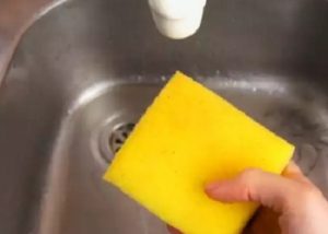 Le spugne da cucina sono sporche come le feci, come fare ...