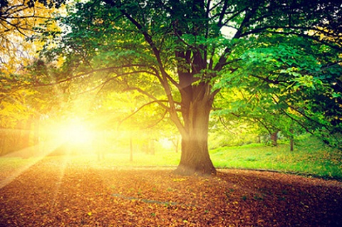 Estate settembrina o primo mese di autunno movimentato e instabile fino alla fine? - ilmattinodifoggia.i Estate settembrina o primo mese di autunno movimentato e instabile fino alla fine? - ilmattinodifoggia.i