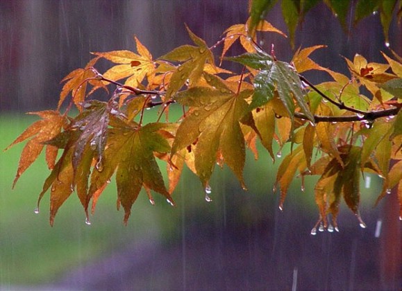 Mese di settembre piuttosto fresco e piovoso, niente estate settembrina? - blitzquotidiano.it Mese di settembre piuttosto fresco e piovoso, niente estate settembrina? - blitzquotidiano.it