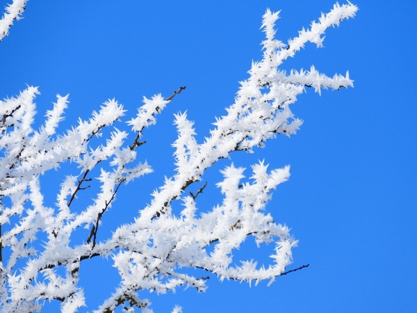 Tendenza meteo inverno 2017/2018 - nostrofiglio.it