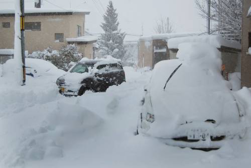 Neve a Sapporo nell'Isola di Hokkaido in Giappone - mainichi.jp