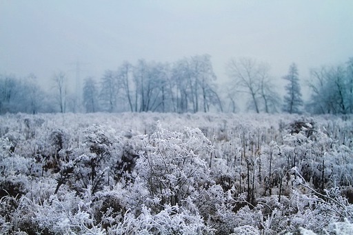 Anticiclone in espansione verso l'Italia: condizioni meteo più stabili e clima più mite entro Natale - pixabay.com