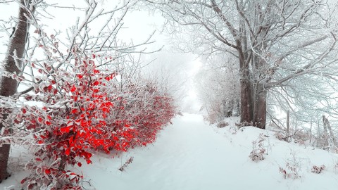 Condizioni meteo invernali in Italia con piogge e neve anche a bassa quota - sf.co.ua