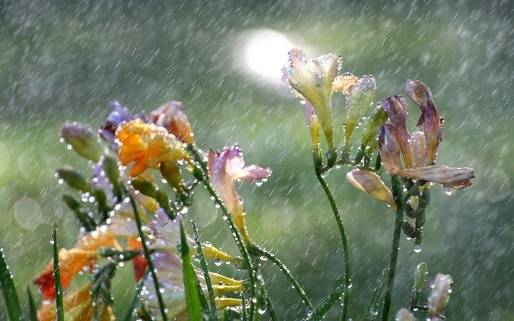Condizioni meteo in miglioramento in Italia con temperature in rialzo, nuovo maltempo entro Pasqua - tumix.ru Condizioni meteo in miglioramento in Italia con temperature in rialzo, nuovo maltempo entro Pasqua - tumix.ru