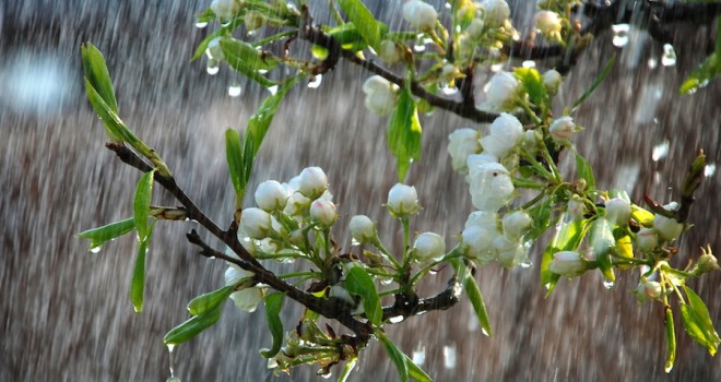 Meteo instabile o perturbato in Italia, prosegue piovosa la primavera - Leonardo.it