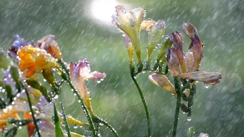 Tendenza meteo Aprile: piogge e clima fresco sull'Italia? - yandex.ru Tendenza meteo Aprile: piogge e clima fresco sull'Italia? - yandex.ru