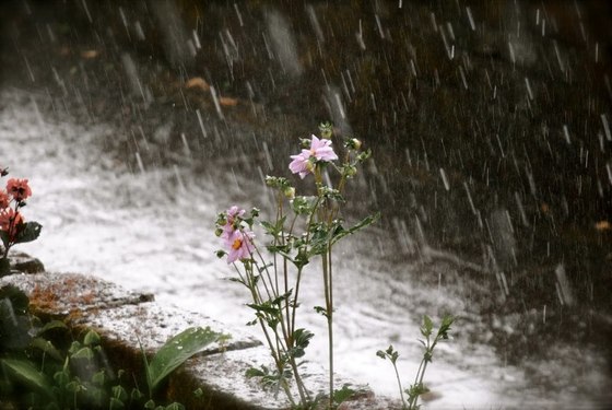 METEO ITALIA: seconda settimana di aprile che si apre con piogge e temporali anche intensi - statoquotidiano.it METEO ITALIA: seconda settimana di aprile che si apre con piogge e temporali anche intensi - statoquotidiano.it
