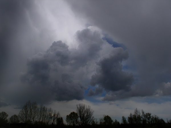 Meteo instabile o perturbato in Italia nei prossimi giorni - viviversilia.it Meteo instabile o perturbato in Italia nei prossimi giorni - viviversilia.it