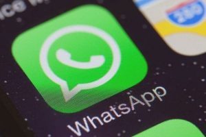   WhatsApp, nuova funzione per the notifiche con il nuovo aggiornamento, ecco come cambia the cat 