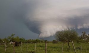 Maltempo Argentina e Brasile, danni e vittime