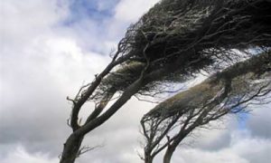 Tempesta Diana nel Regno Unito, piogge e vento