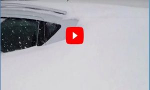 video blizzard neve campobasso