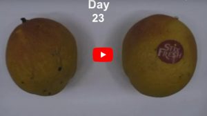 Frutta fresca per due settimane in più