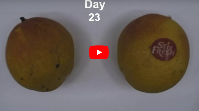 Frutta fresca per due settimane in più
