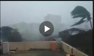 india ciclone video