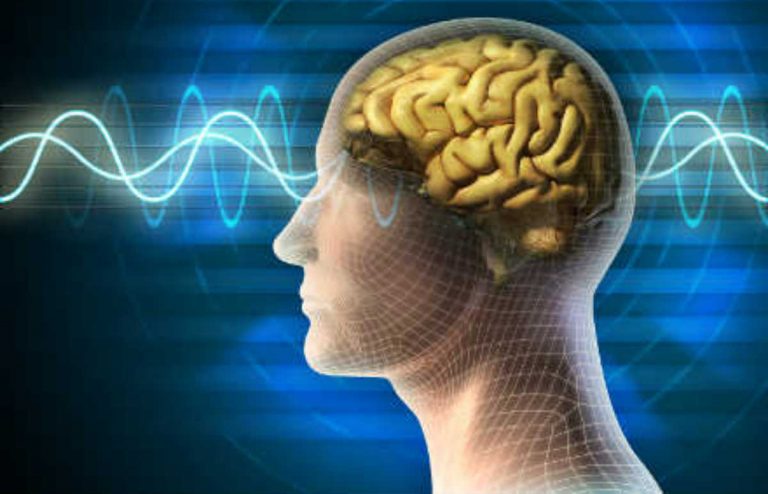 Nasce il sistema che traduce i pensieri in parole: ecco l’incredibile invenzione Nasce il sistema che traduce i pensieri in parole: ecco l’incredibile invenzione