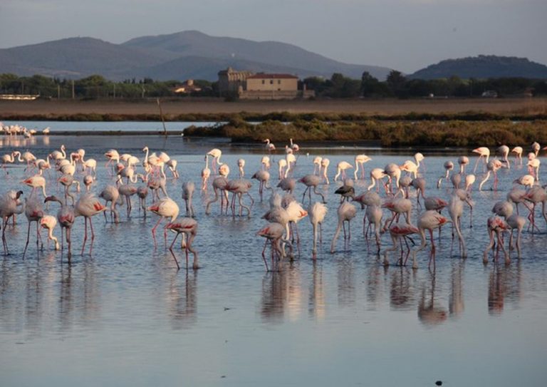 Giornata mondiale delle zone umide: ecosistemi ad alto rischio
