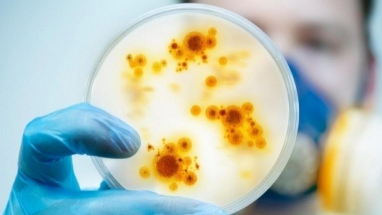 Allarme superbatteri killer, 450mila italiani morti entro il 2050. Antibiotici ko