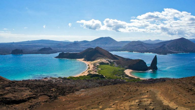 Galapagos, incredibile scoperta: trovato animale “estinto” 100 anni fa