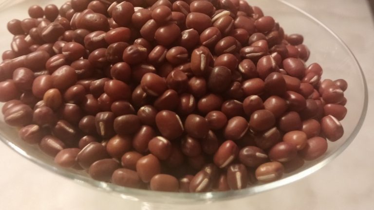 Fagiolo Azuki, dall’Asia un legume dalle proprietà nutrizionali depurative: cos’è?