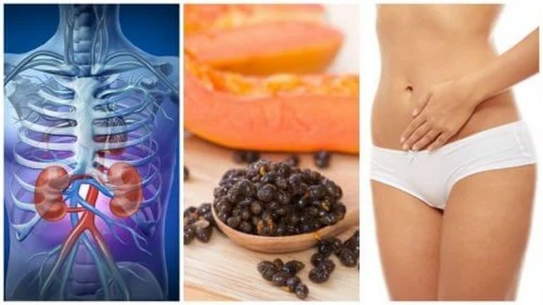 Semi di papaya: ecco come utilizzarli per depurare fegato, reni e liberare le vie respiratorie