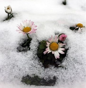 Clima primaverili nei prossimi giorni in tutta l' Italia, foto Anamarija Gašo