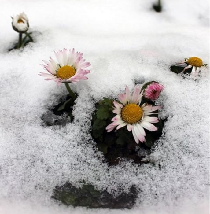 Clima primaverili nei prossimi giorni in tutta l' Italia, foto Anamarija Gašo