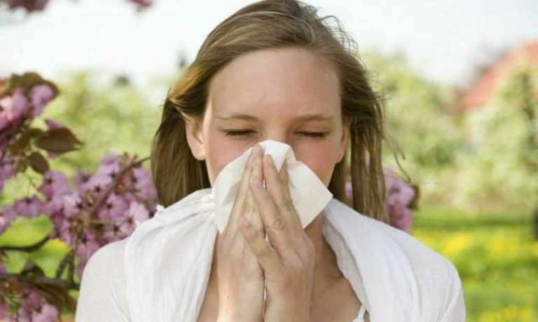 “Ti presento i cibi anti-raffreddore”: ecco come rafforzano il sistema immunitario