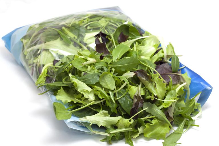 Allerta alimentare, maxi-ritiro di insalate in busta di 19 marche per presenza di un pericoloso batterio Allerta alimentare, maxi-ritiro di insalate in busta di 19 marche per presenza di un pericoloso batterio