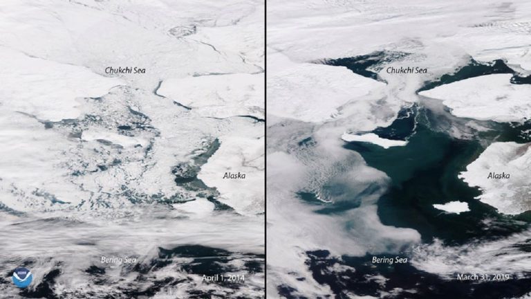 GHIACCIO ARTICO: spaventoso il confronto con il 2014, guardate l’ immagine GHIACCIO ARTICO: spaventoso il confronto con il 2014, guardate l’ immagine