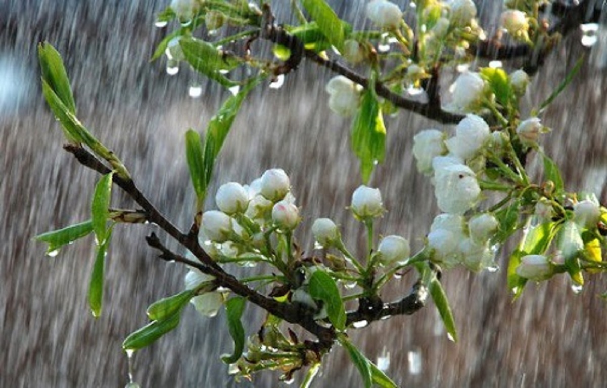 Altre piogge in arrivo in Italia per le prossime settimane di Primavera. Foto Leonardo.it