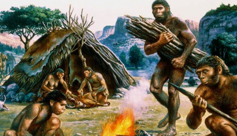 Dieta Paleo, il regime alimentare degli uomini primitivi per perdere peso Dieta Paleo, il regime alimentare degli uomini primitivi per perdere peso