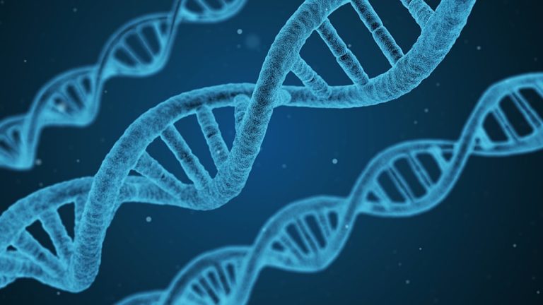 Vaccino contro il tumore sperimentato negli USA, risultati incoraggianti