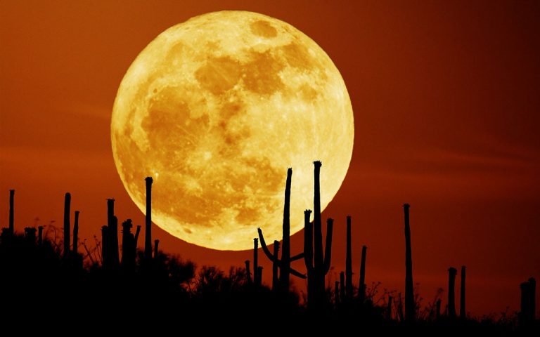 Come fotografare la Luna: alcuni semplici consigli per un risultato straordinario