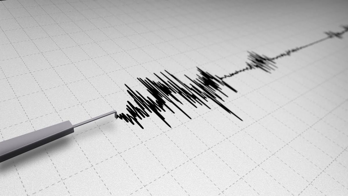 Terremoto in mare