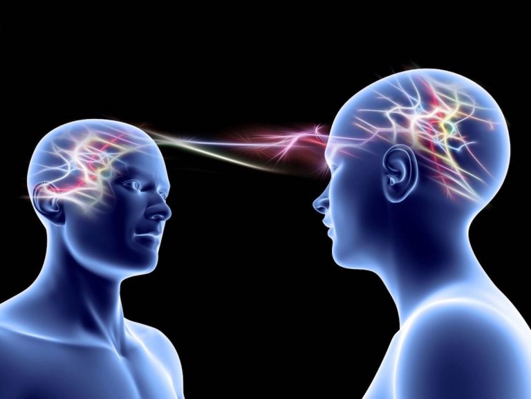 Scoperti i neuroni specchio delle emozioni: ecco dove si trovano