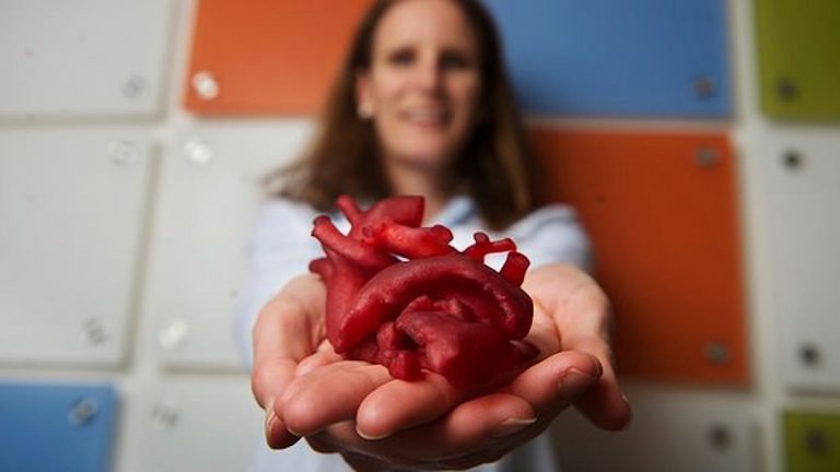 Creato il primo cuore 3D: ecco come e dove