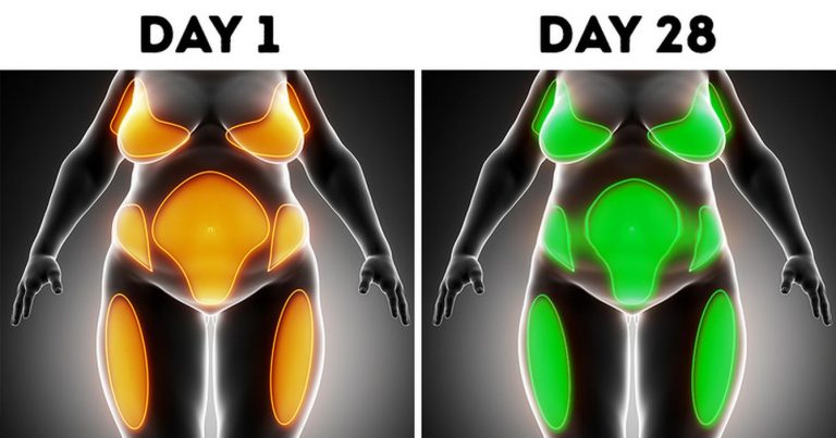Ecco cosa succede al tuo corpo se non bevi alcolici da 28 giorni: effetti incredibili, lista