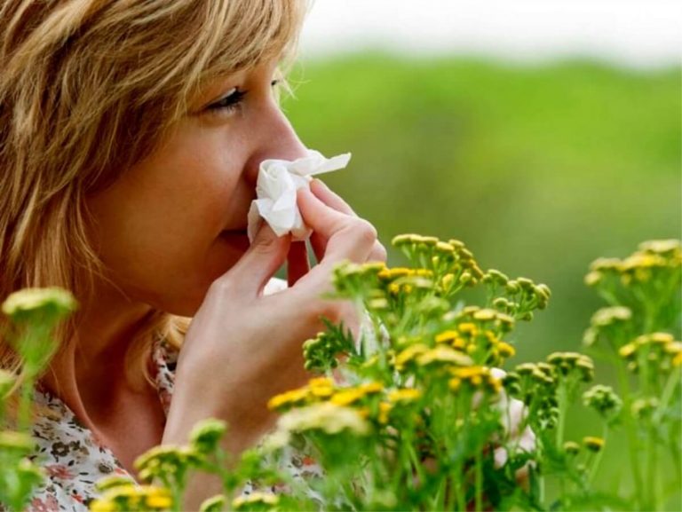 Allergie, ecco i rimedi naturali per contrastarle