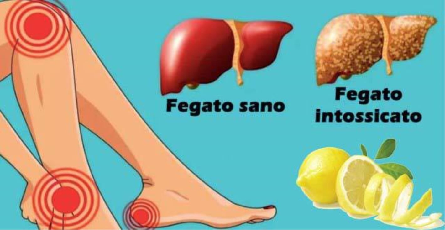 Fegato Grasso Il Rimedio Doro Per Ripulirlo In Modo Totale