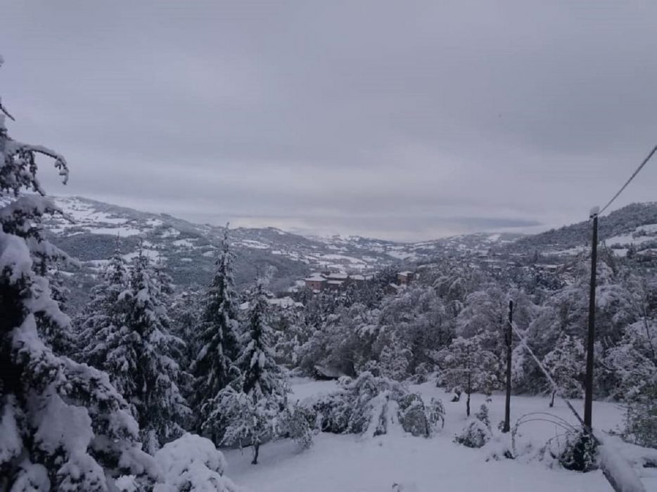 30-35 centimetri di neve caduta nelle ultime ore fino a bassa quota in Emilia Romagna. Foto Eliana Fratti