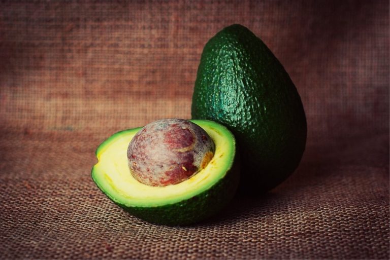 L’avocado può sostituire i carboidrati e ridurre la fame