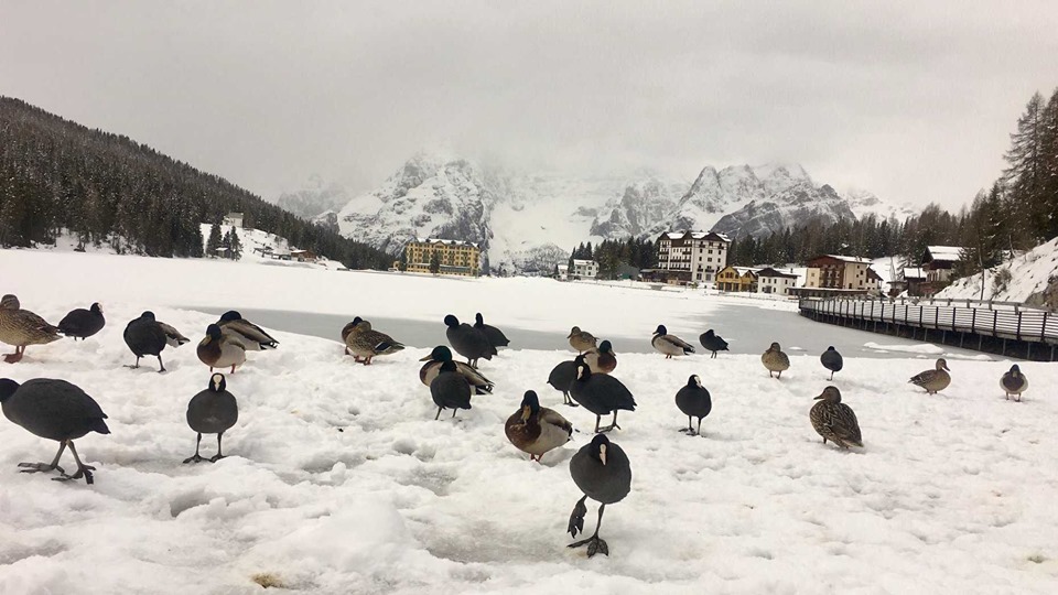 Neve Alpi, foto Giuseppe Pais Becher Alpstation Lavaredo.