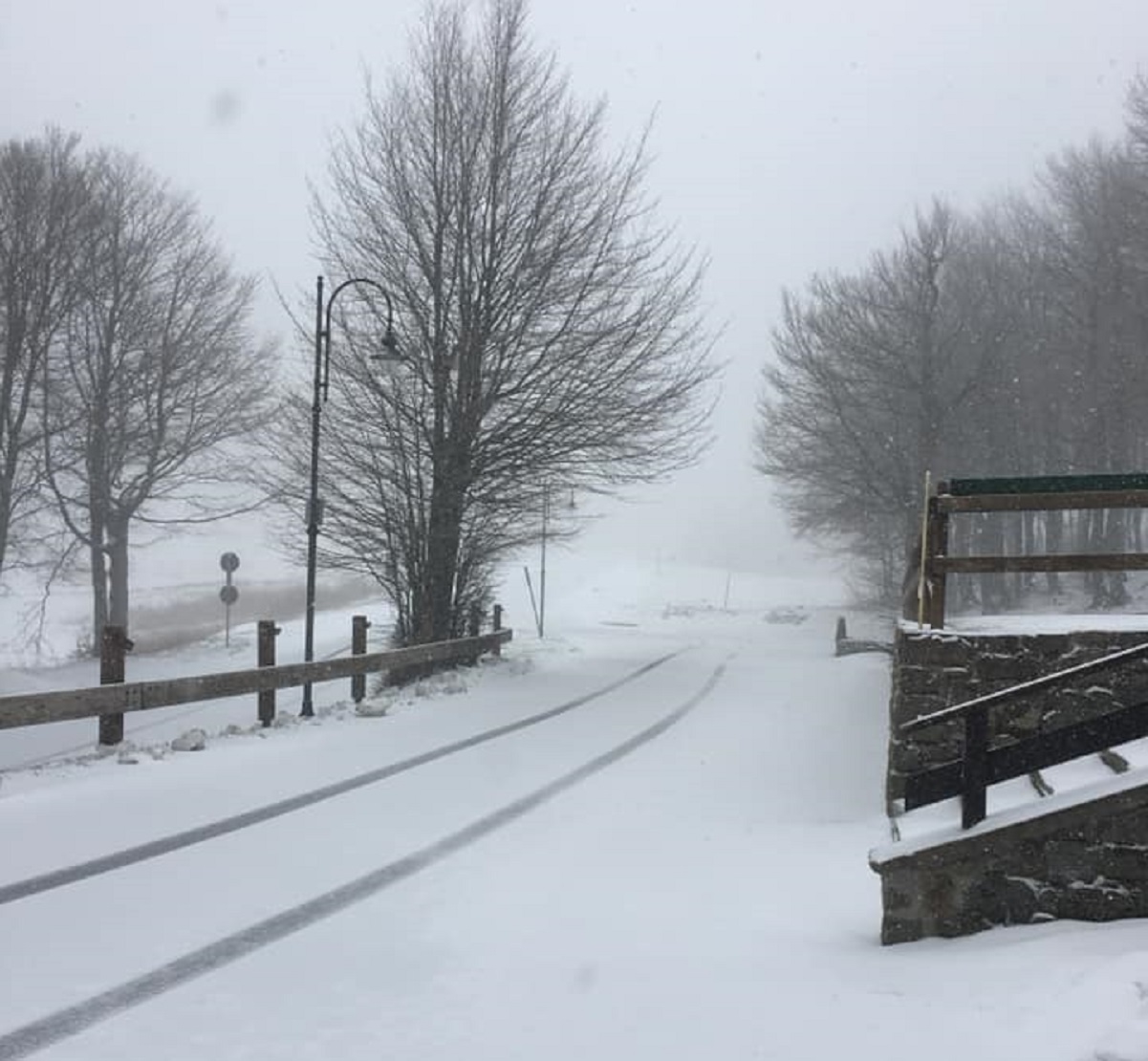 Neve in Italia fino a quote collinari in queste ore in Emilia Romagna, Marche e Sardegna. Foto Carpe Diem