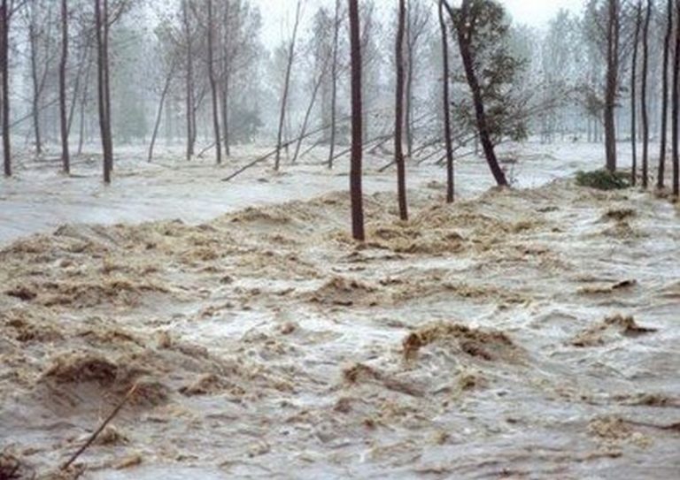 Fiumi di acqua e fango stanno trascinando persone e auto. Situazione critica, ci sono danni ingenti, video live dal Pakistan
